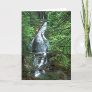 Tarjeta Moss Glen cae Stowe Vermont