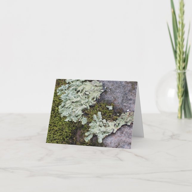 Tarjeta Moss & Lichen Notecard (Anverso)