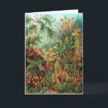 Tarjeta Moss (Muscinae) de Haeckel<br><div class="desc">Kunstformen der Natur (1904),  placa 72: Muscinae. Kunstformen der Natur (conocido en inglés como Formas de Arte en la Naturaleza) es un libro de huellas litográficas y de semitonos del biólogo alemán Ernst Haeckel.</div>