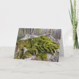 Tarjeta Mossy Broken Headstone