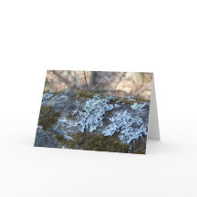 Mossy Oak Log Greeting Card