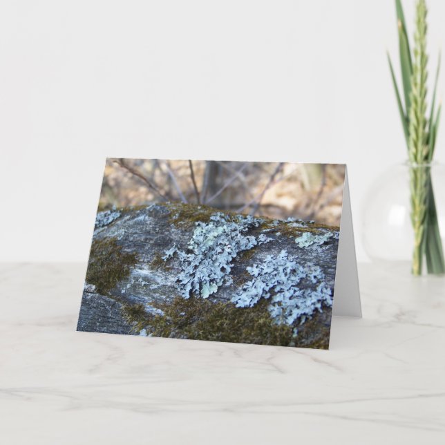 Tarjeta Mossy Oak Log Greeting Card (Anverso)