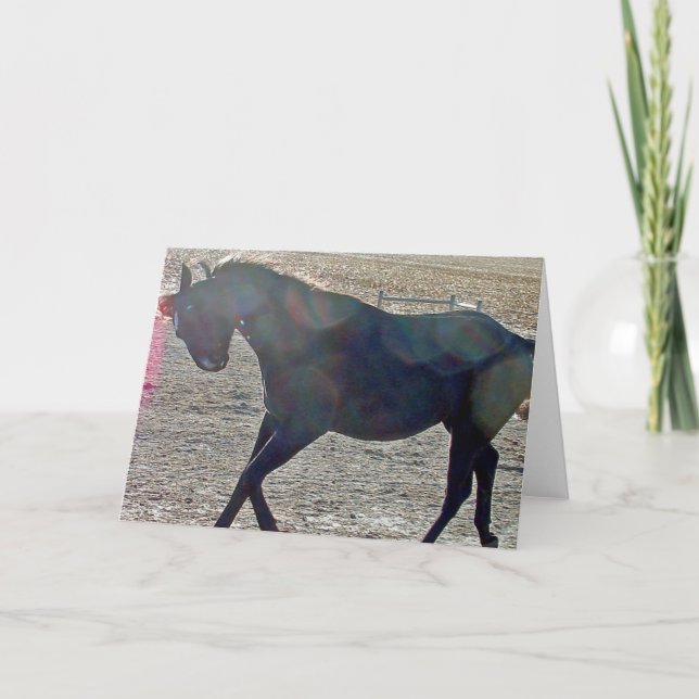 Tarjeta Mostrar desactivado (Anverso)