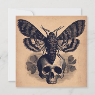 Tarjeta Moth sobre el Ilustracion del horror de las antigü