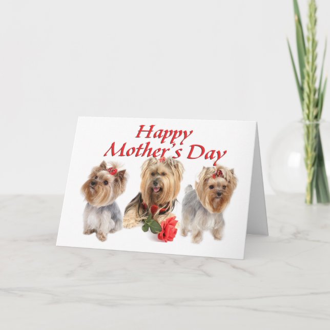 Tarjeta Mother Day Yorkies (Anverso)
