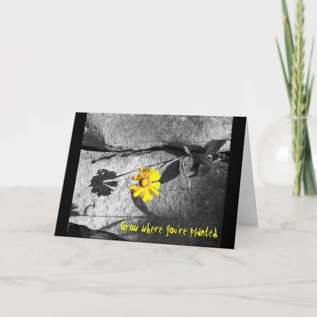 Tarjeta motivacional "Crecer donde estás plantado" (Anverso)