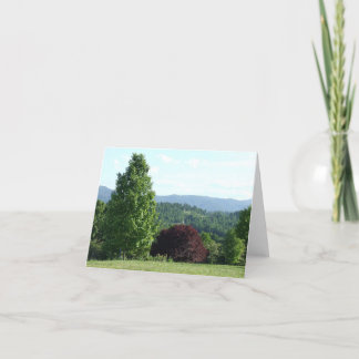 Tarjeta Mountain View