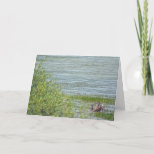 Tarjeta Movimiento Delicado