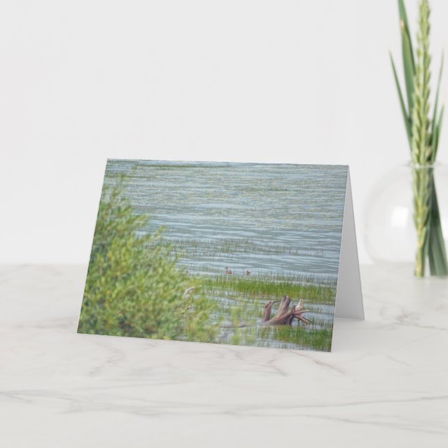 Tarjeta Movimiento Delicado (Anverso)