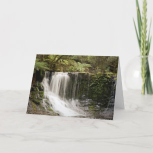 Tarjeta Mt. Caídas de la herradura del parque nacional el