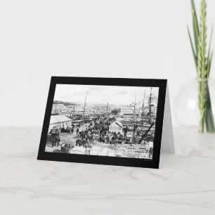 Tarjeta Muelle en Auckland, Nueva Zelanda 1908