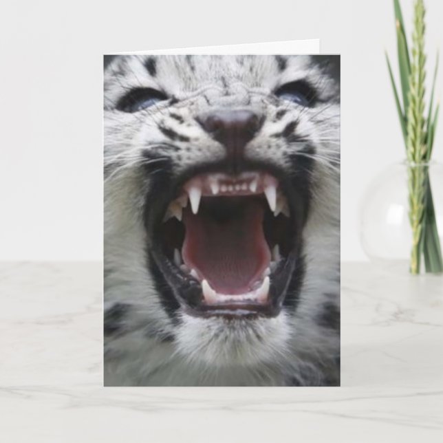 Tarjeta muestre sus dientes (Anverso)