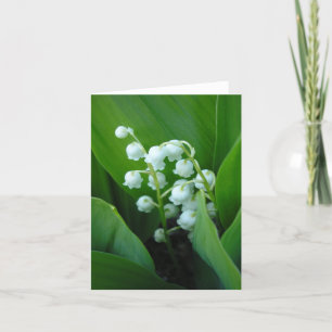 Tarjeta Muguet