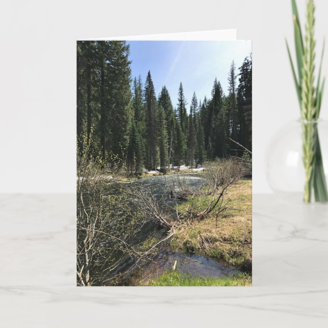 Tarjeta Muir Creek, Oregón (Anverso)