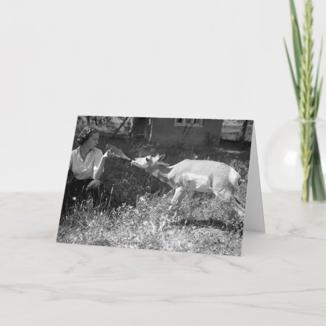 Tarjeta Mujer botella-que alimenta un antílope (Anverso)