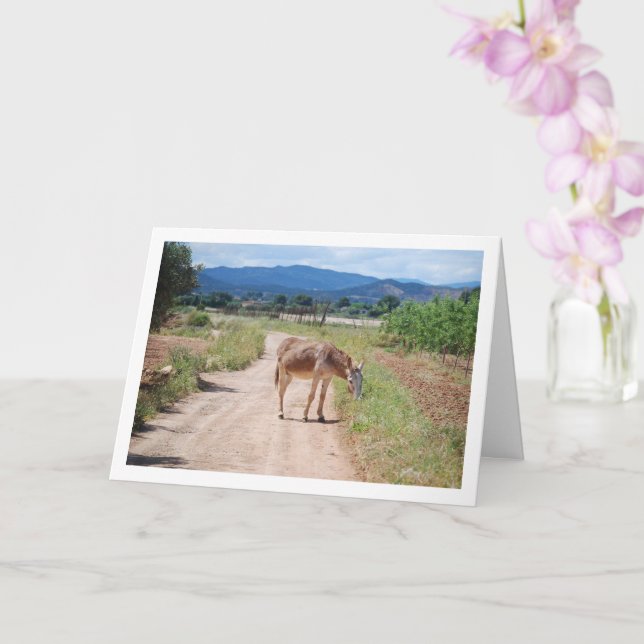 Tarjeta Mula española en camino rural (Orquídea)