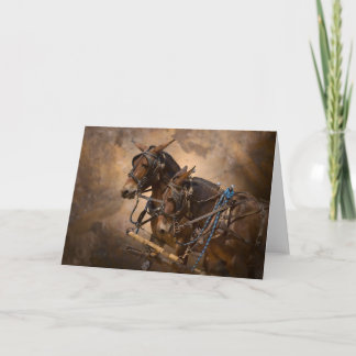 Tarjeta Mulas en arnés