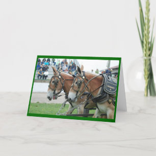 Tarjeta Mule days in