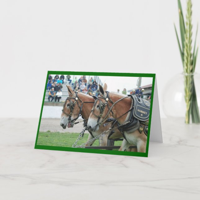 Tarjeta Mule days in (Anverso)