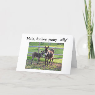 TARJETA MULE, DONKEY, JENNIE-TRD Y AZUL SIN TI