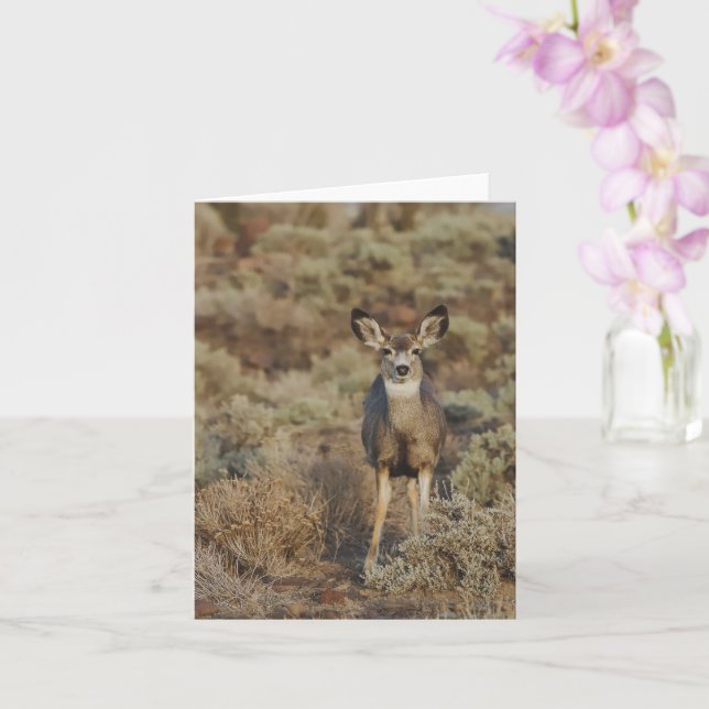 Tarjeta Muley in the Sage - 4" x 5.6" Notecard (Orquídea)