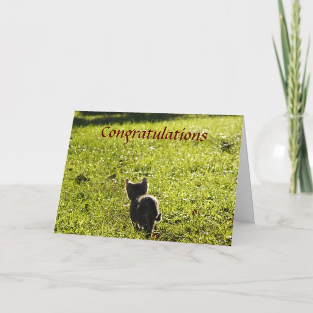 Tarjeta multipropósito Little Kitten (Anverso)