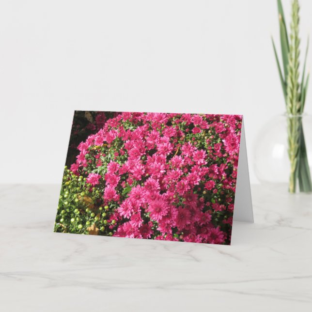 Tarjeta Mums Rosa Oscuro (Anverso)