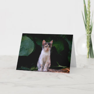 Tarjeta Mundo grande