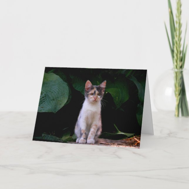 Tarjeta Mundo grande (Anverso)