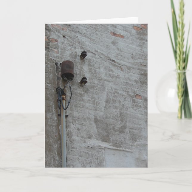 Tarjeta Muro (Anverso)