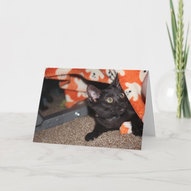 Tarjeta Murphy (Anverso)