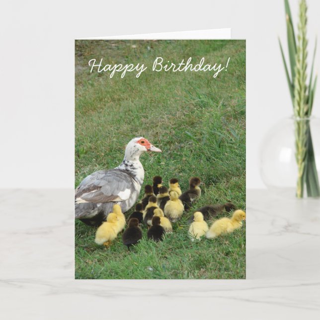 Tarjeta ¡Muscovy Hen Con Ducklings, Feliz Cumpleaños! (Anverso)