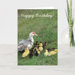Tarjeta ¡Muscovy Hen Con Ducklings, Feliz Cumpleaños!