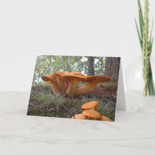 Tarjeta Mushroom13