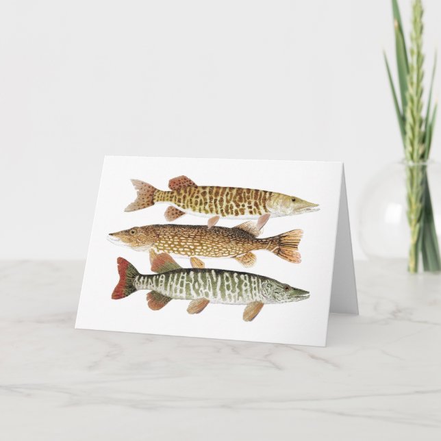 Tarjeta Muskie, Pike y tigre (Anverso)