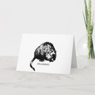 Tarjeta Muskrat (ilustracion)
