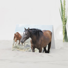 Tarjeta Mustangs salvajes de Occidente