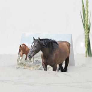 Tarjeta Mustangs salvajes de Occidente