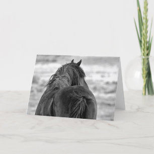 Tarjeta Mustangs salvajes de Occidente