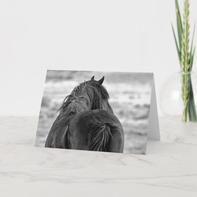 Tarjeta Mustangs salvajes de Occidente (Anverso)