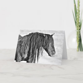 Tarjeta Mustangs salvajes de Occidente