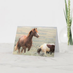 Tarjeta Mustangs salvajes de Occidente