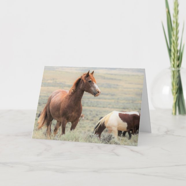 Tarjeta Mustangs salvajes de Occidente (Anverso)