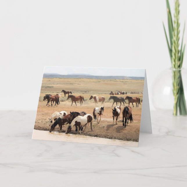 Tarjeta Mustangs salvajes de Occidente (Anverso)