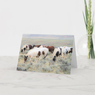 Tarjeta Mustangs salvajes de Occidente