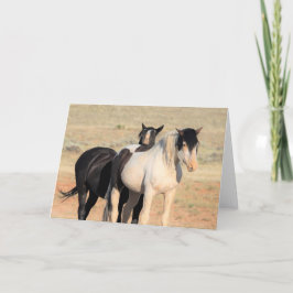 Tarjeta Mustangs salvajes de Occidente