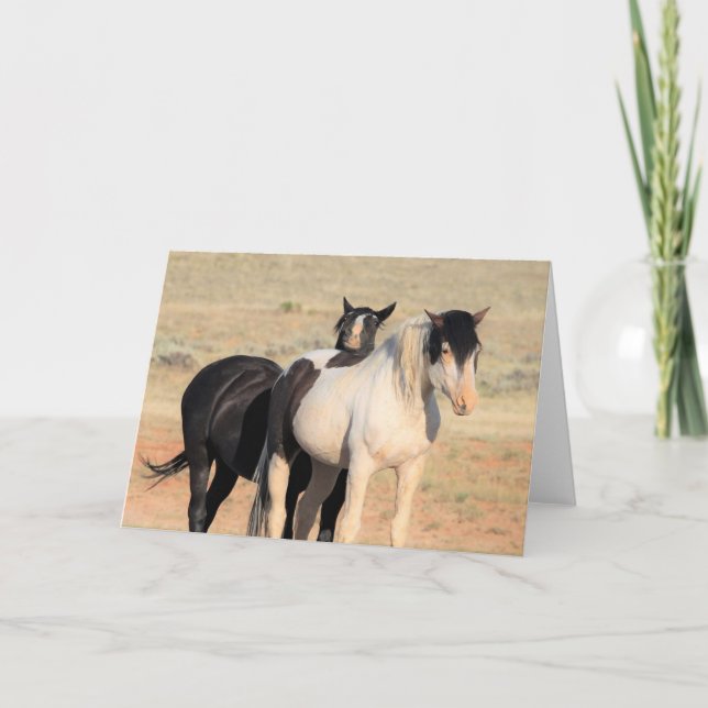 Tarjeta Mustangs salvajes de Occidente (Anverso)