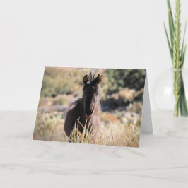 Tarjeta Mustangs salvajes de Occidente