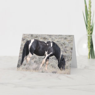 Tarjeta Mustangs salvajes de Occidente