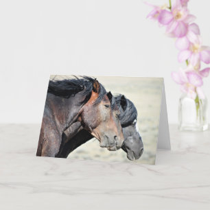 Tarjeta Mustangs salvajes de Occidente